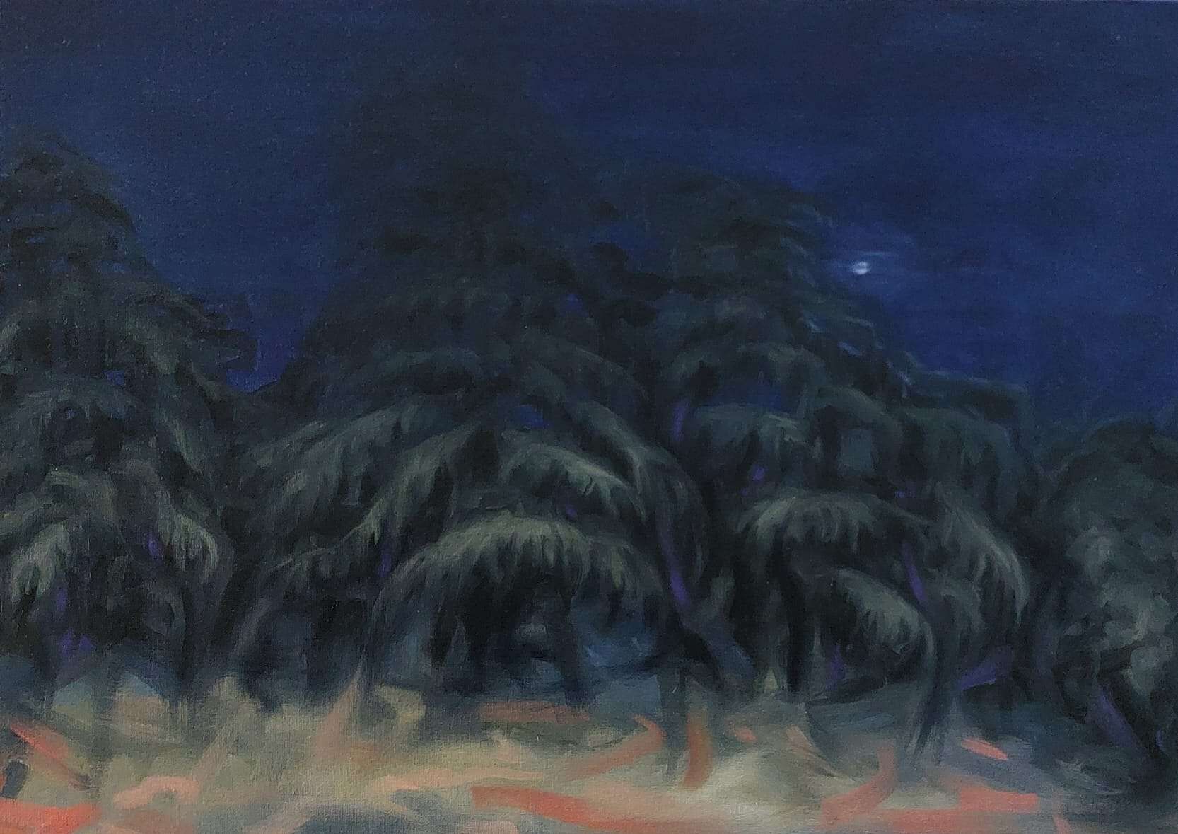 Zedern bei Nacht - Alexander Straub 1