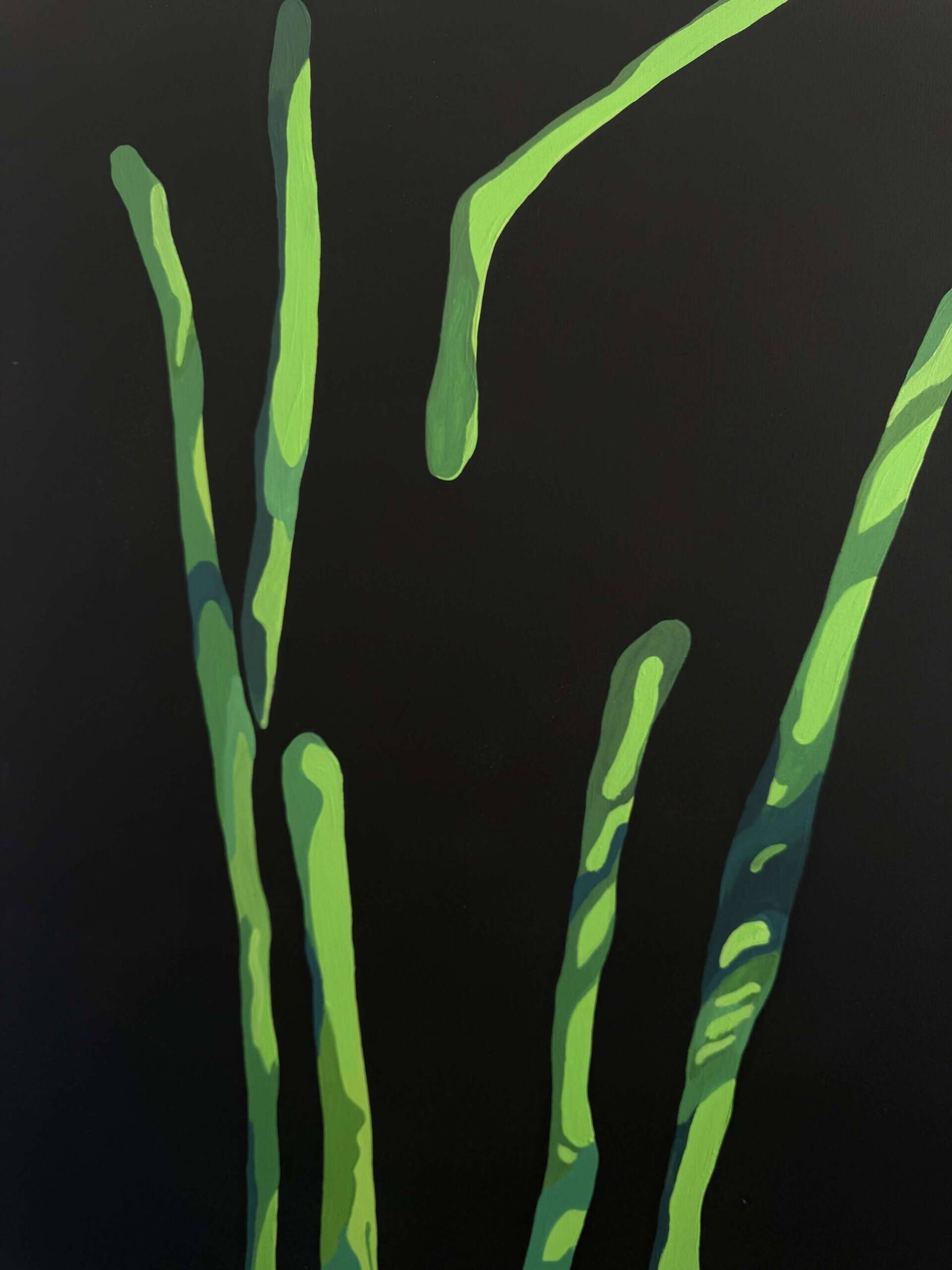 Abgelöste Rhizome - Cong Cong 5
