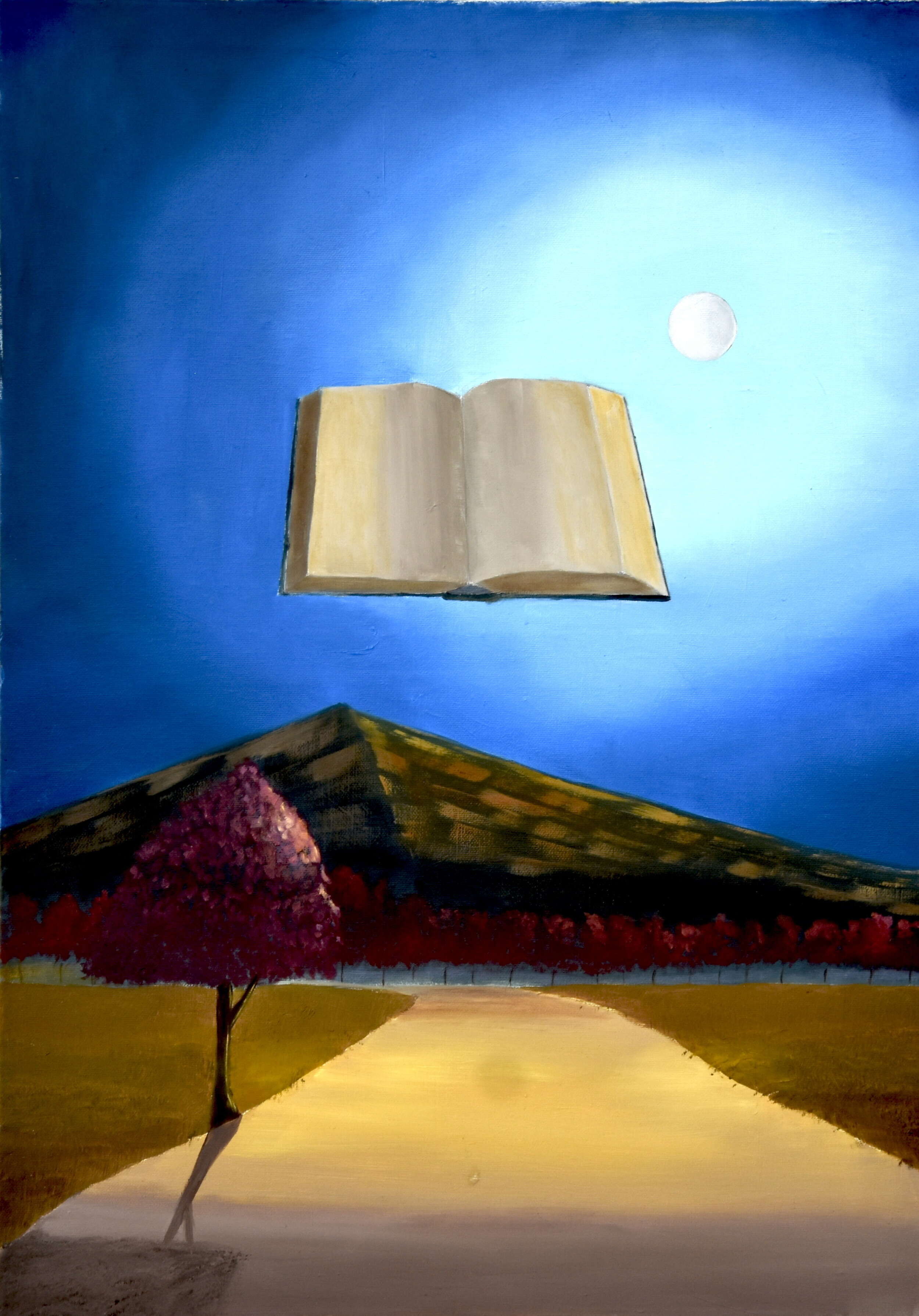 Schwebendes Buch - Mirko Lassalle 3