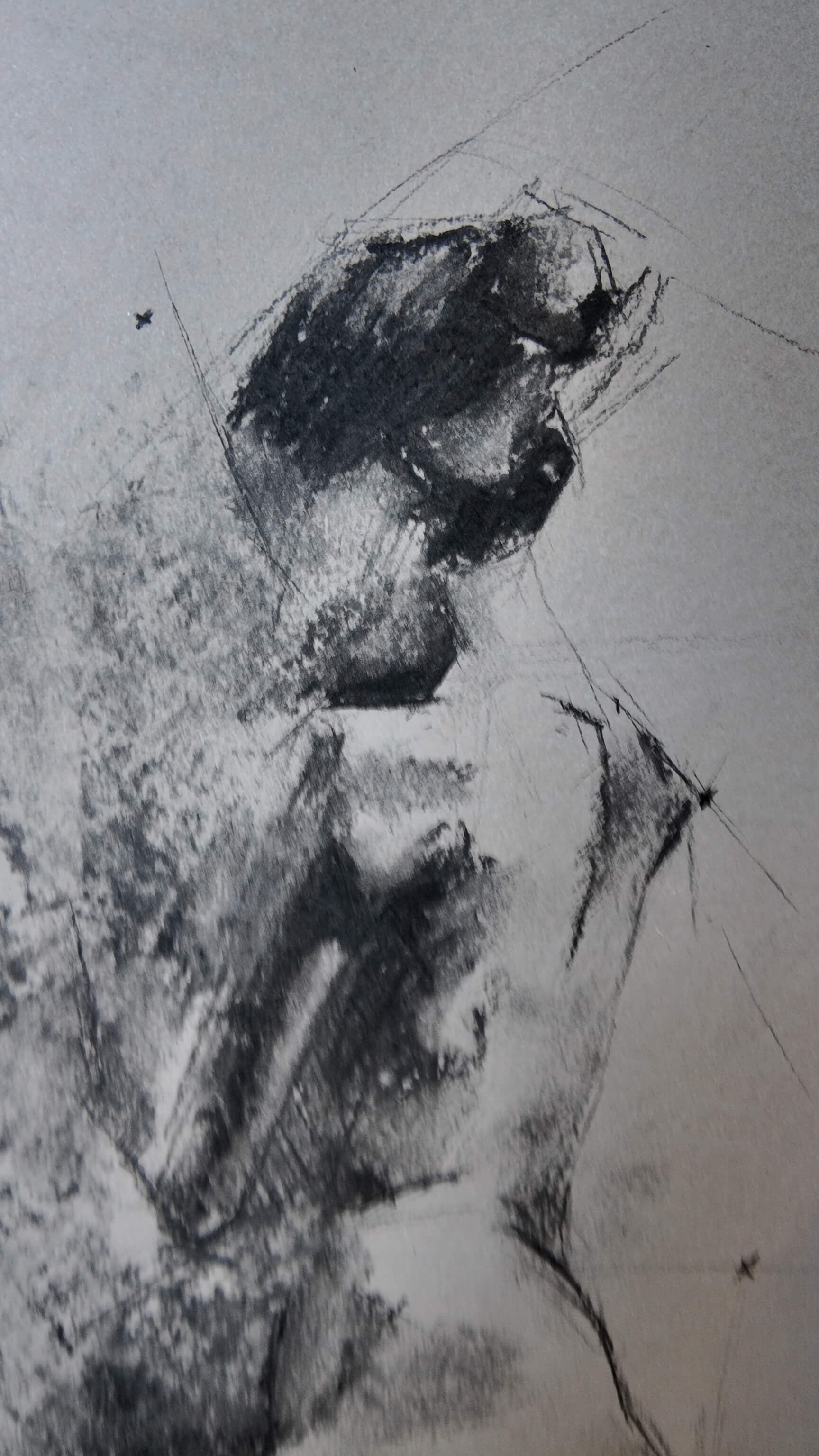 Charcoal#57 - Paul Schäfer 1