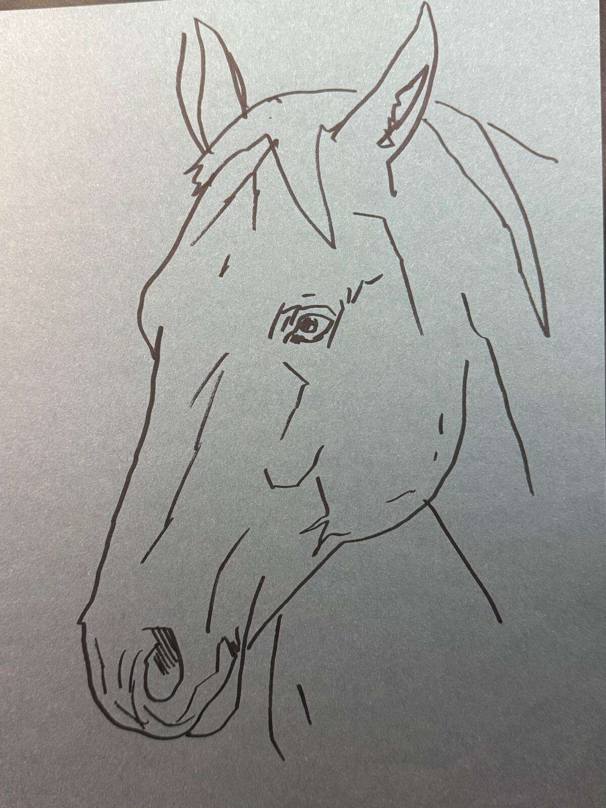 Pferdeköpfe - Laura Küpper 3