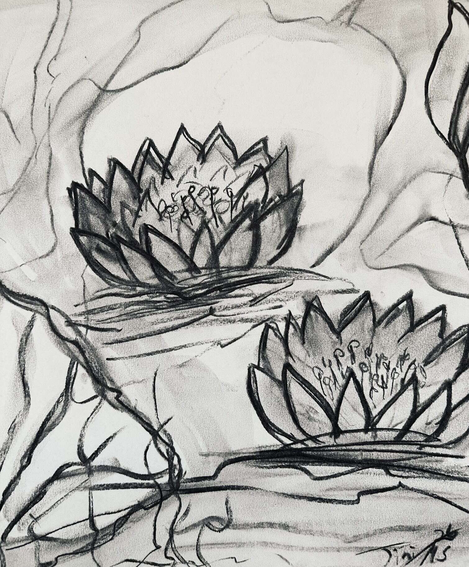 Seerosen Erblüht  - Martina  Schepperle  2