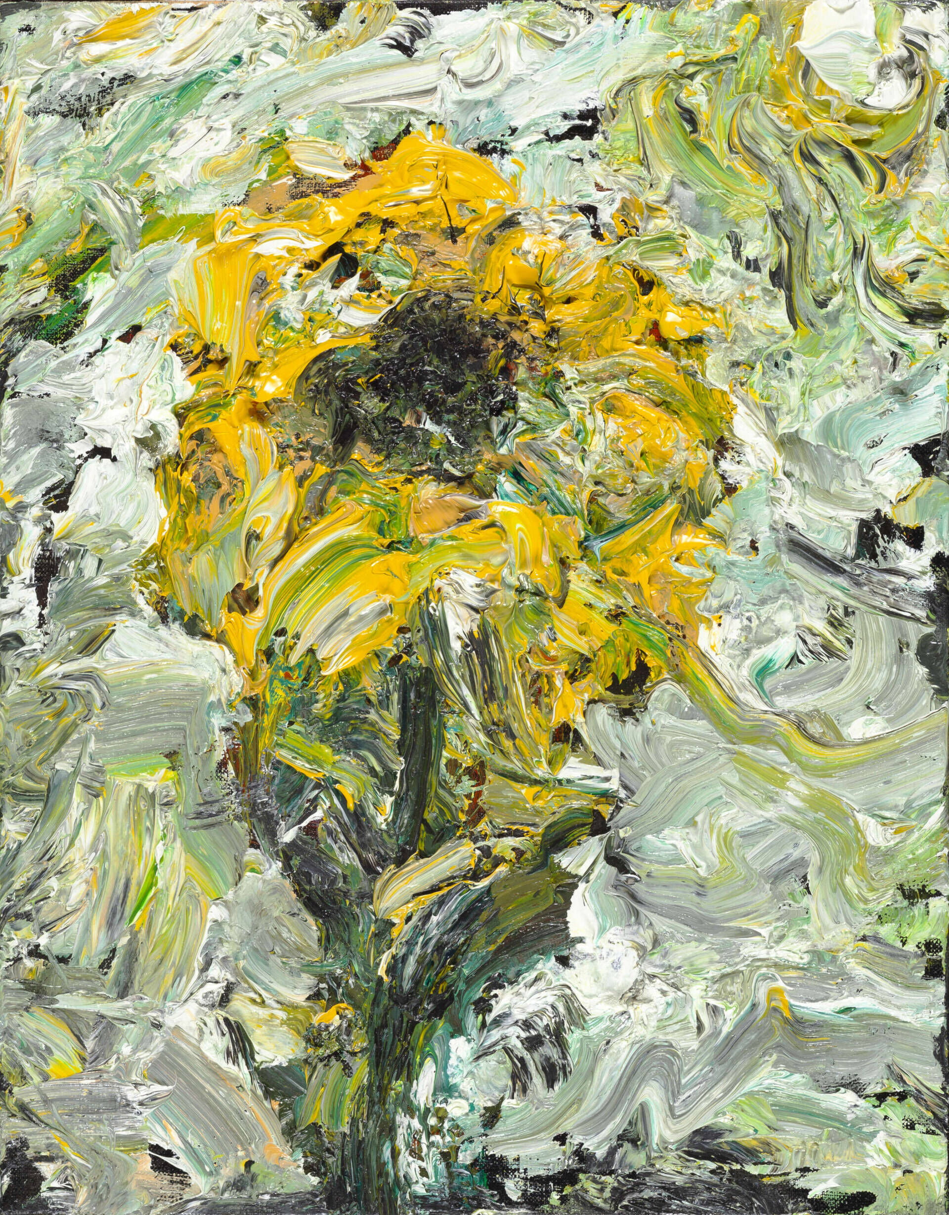 Sonnenblume Nr. 2 - Michael Tauschke 1
