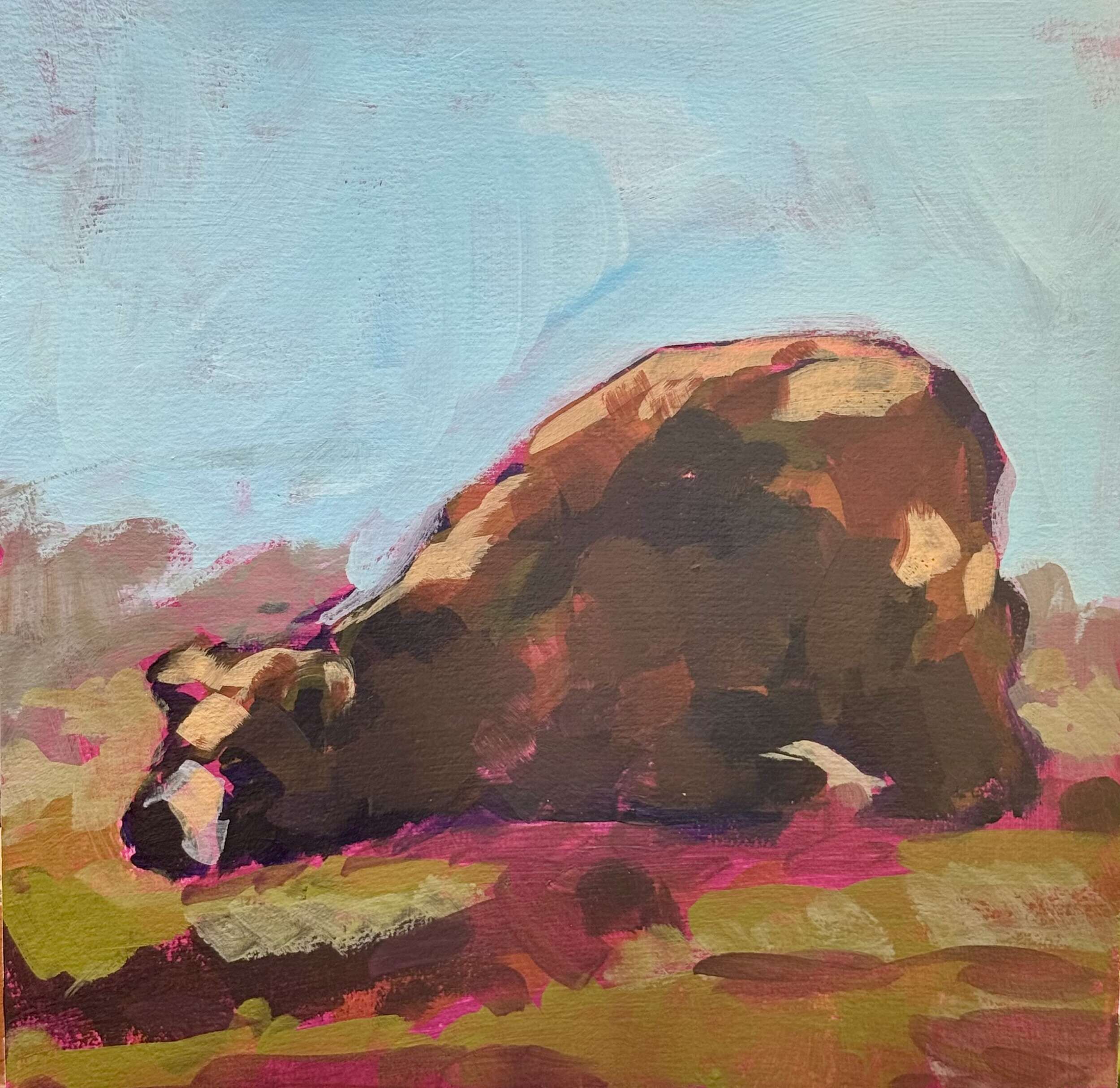 Bär, platt - Daniel Heimgärtner 1