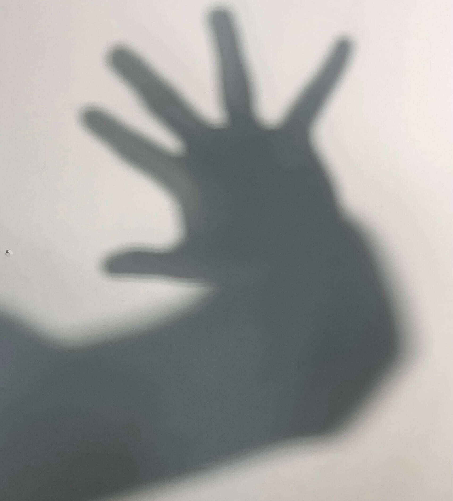 Foto von Daria Tlustova