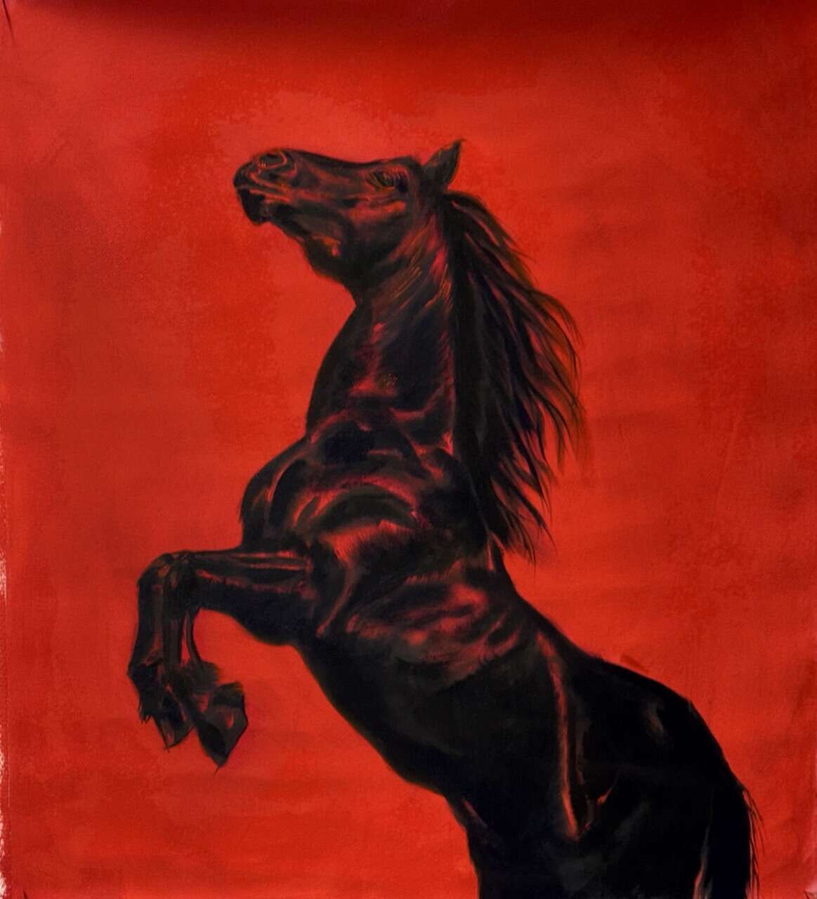 Libre en rojo  - Juliana Gutiérrez Wiest 5