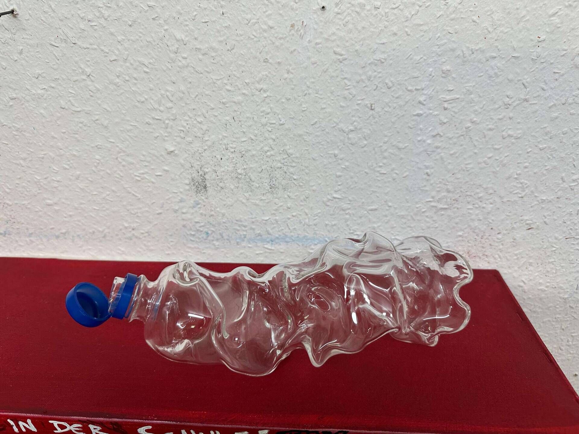 die Plastikflaschen aus Glas - Toninho Dingl 2