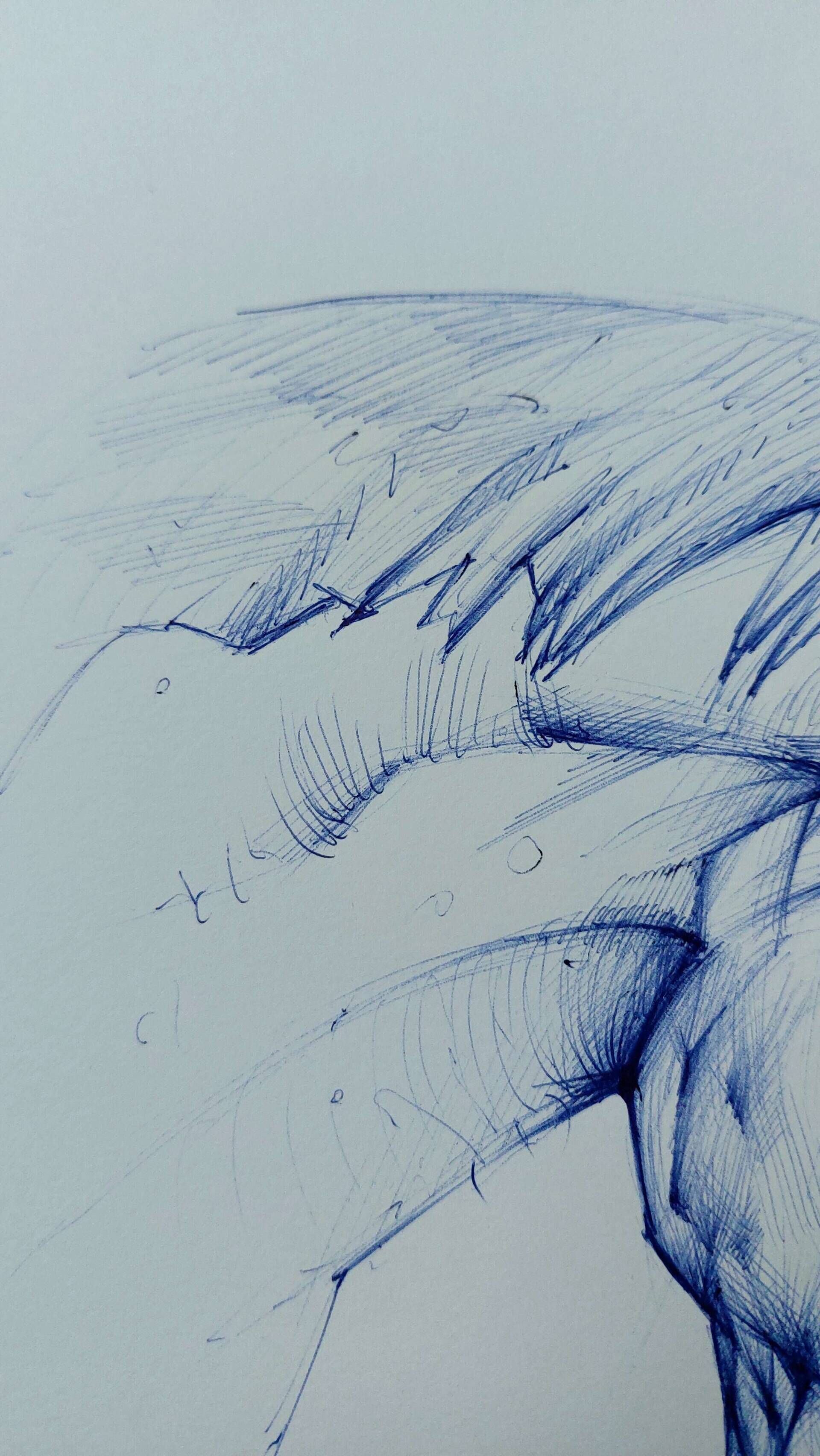 Pferdekopf - Alexander Straub 8