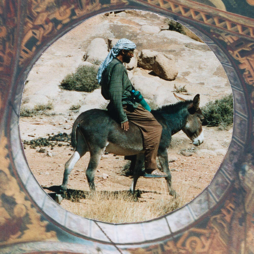 ONCE UPON A TIME THERE WAS LIFE, DONKEY, 2026 - Maria-Magdalena Ianchis 3