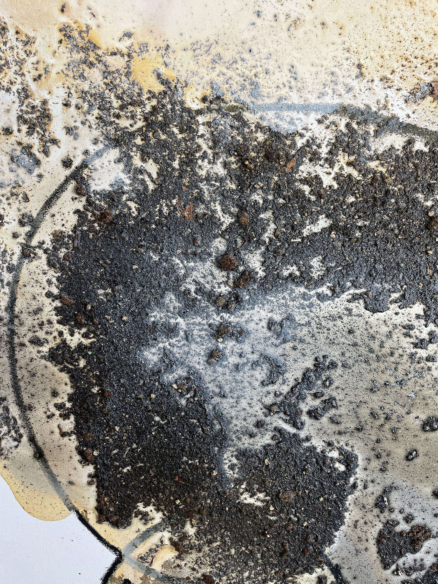 Shedding Shadow, Shedding Light - Vicky Anna Lardschneider 2