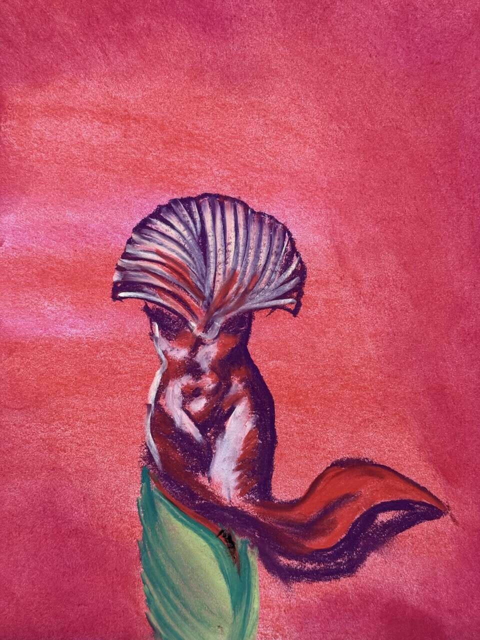 Venusverde - Juliana Gutiérrez Wiest 4