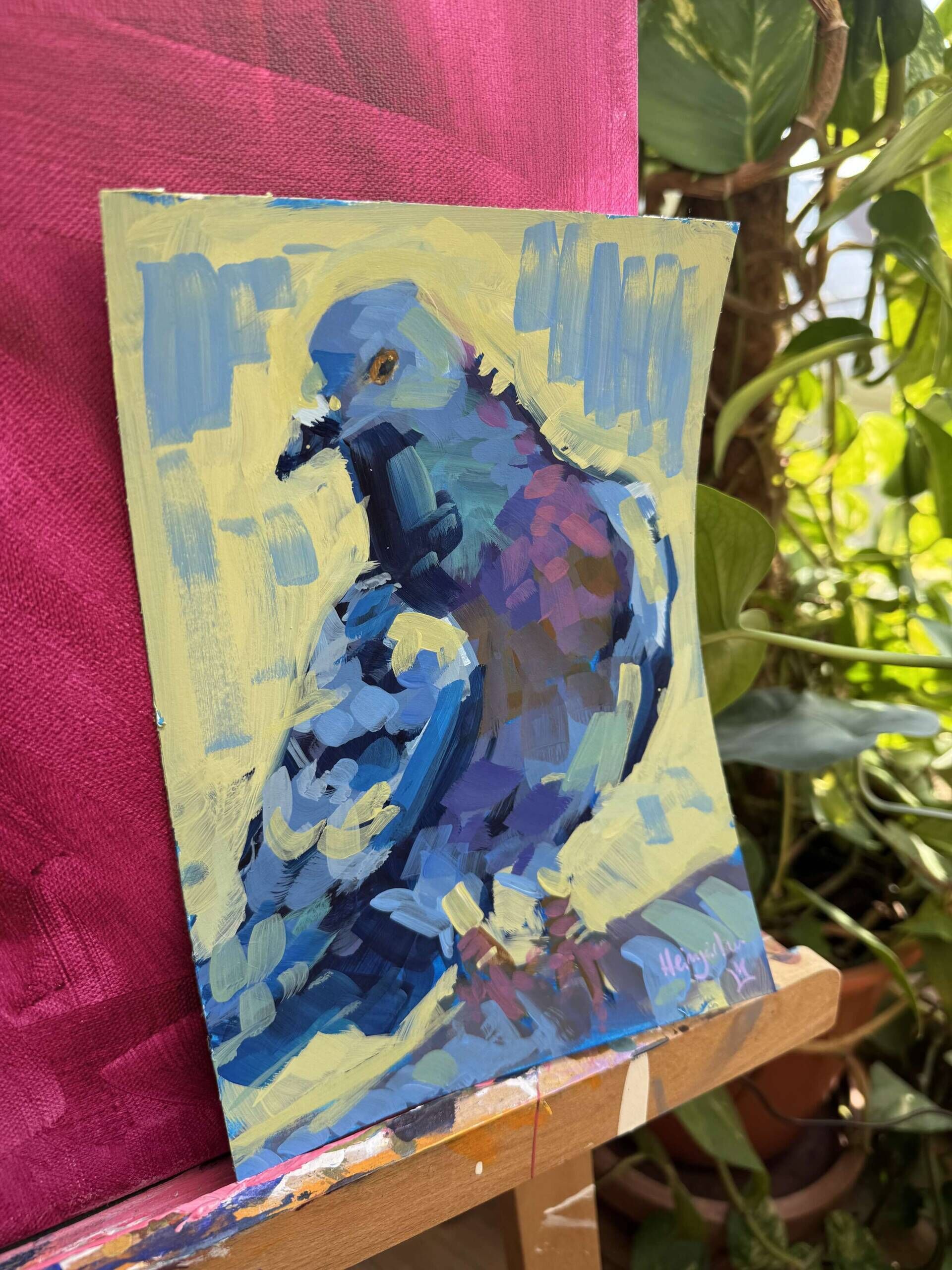 Taube in bunt - Daniel Heimgärtner 2