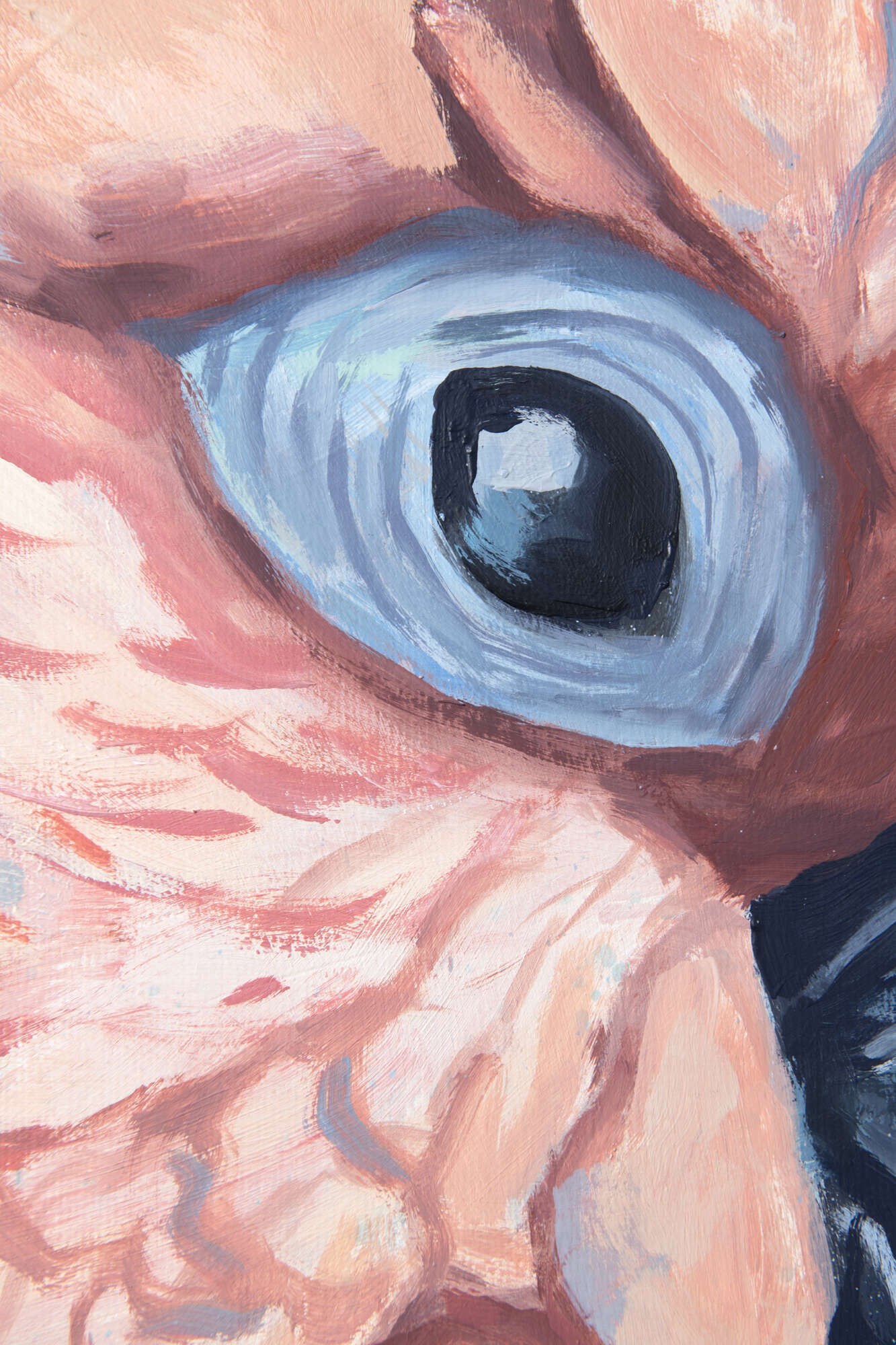 #13 - The Colour and Weight of Life - Moritz Maas 1