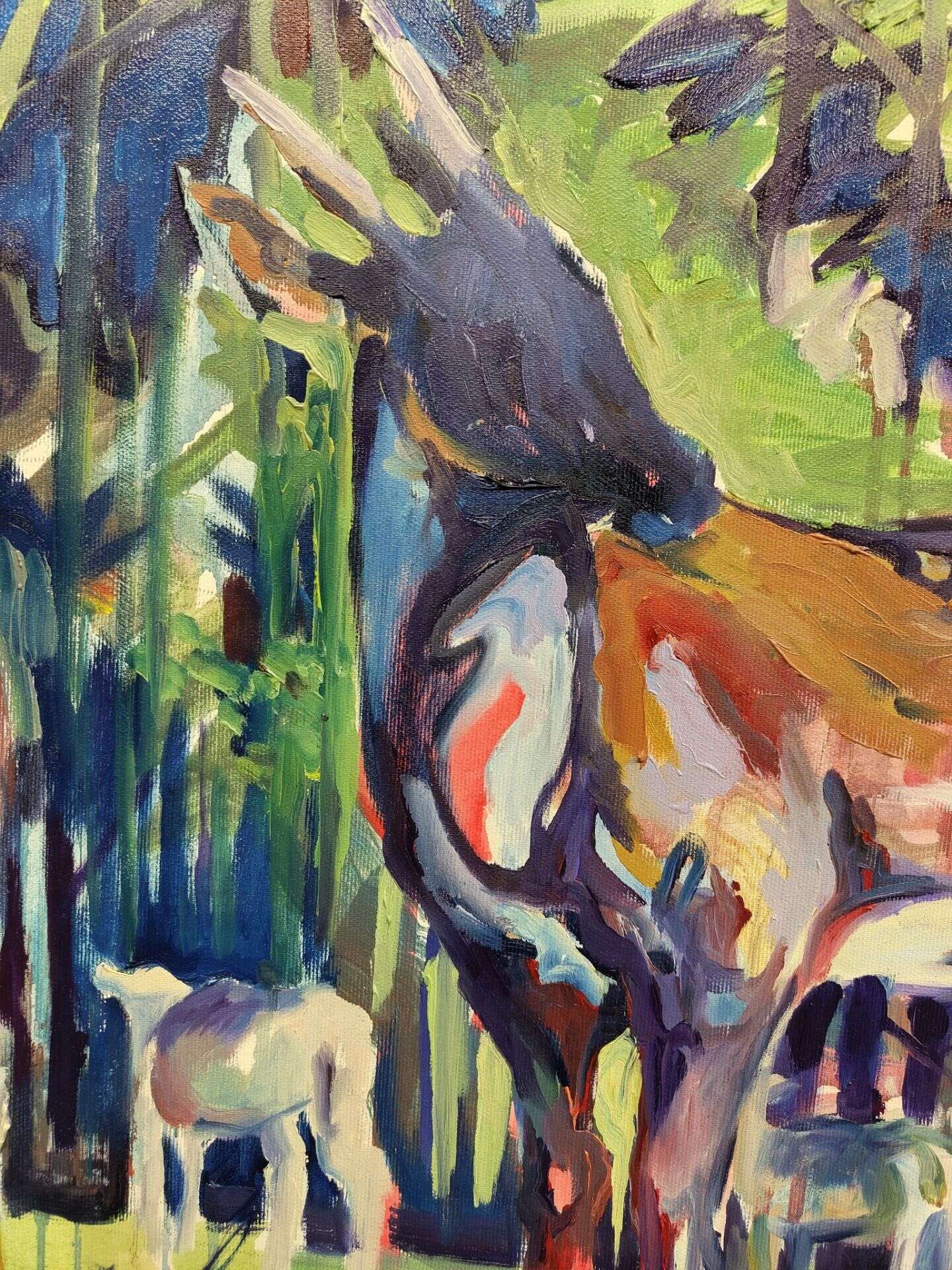 Junges Damwild  - Jannis Kustak 2