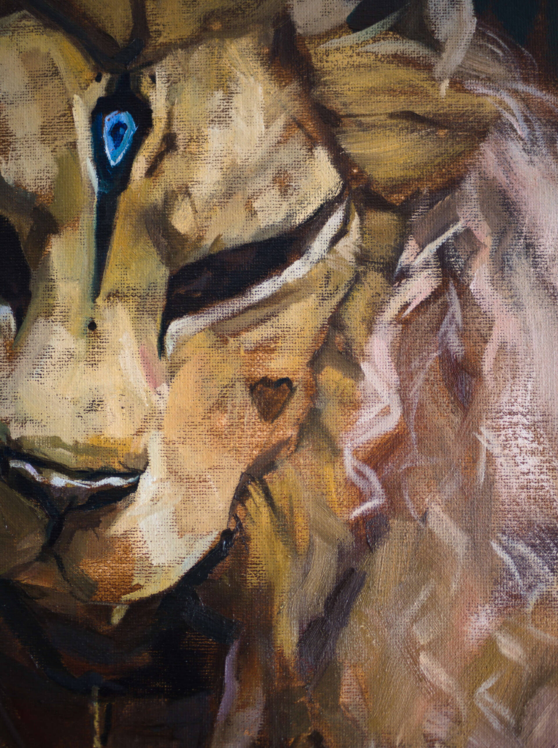 Curly Lioness - Oleksii Gnievyshev 4