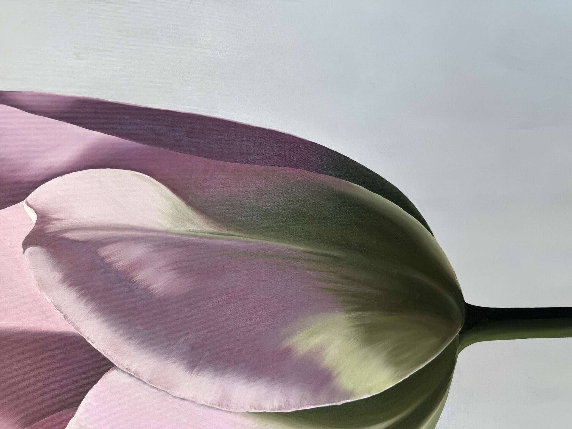 Tulpe - Julia Oleinicenko 2