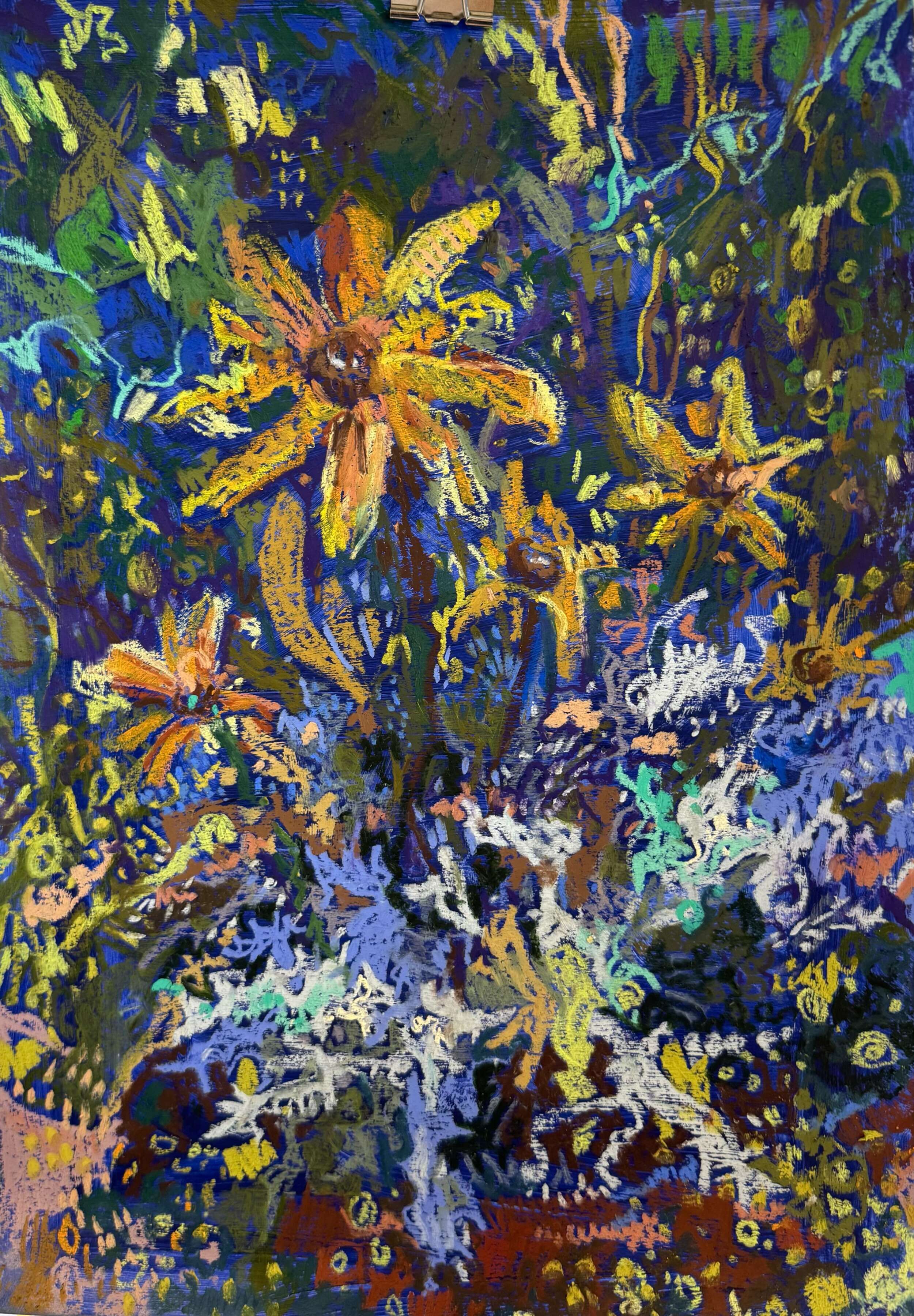 Rudbeckie im Herbst - Daniel Heimgärtner 1