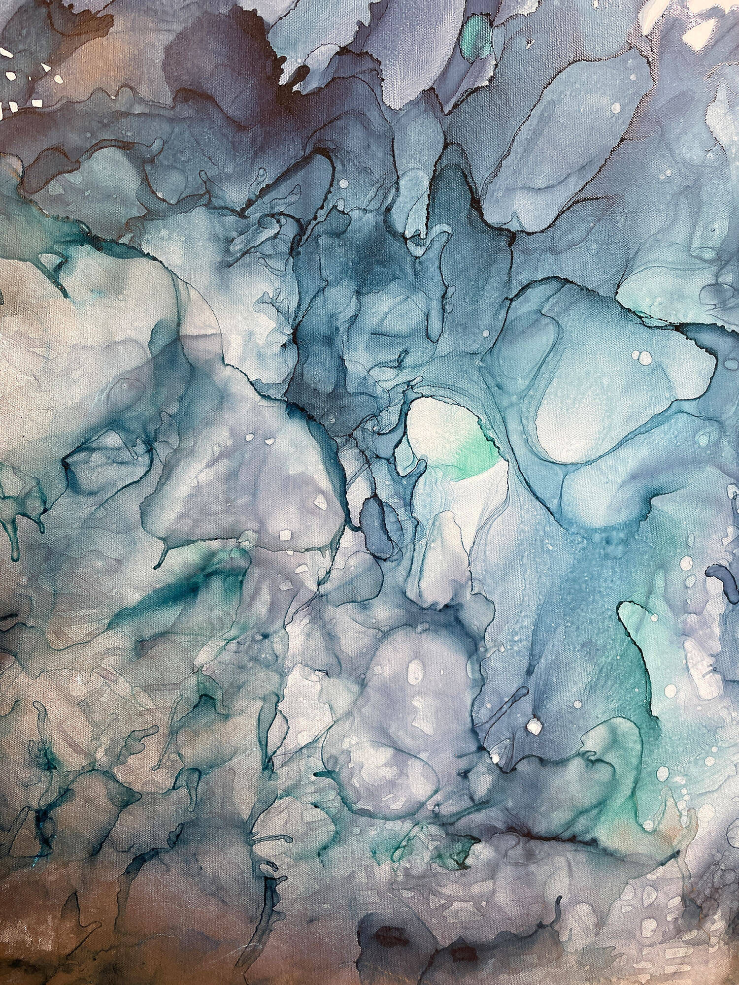 Corals - Vicky Anna Lardschneider 1