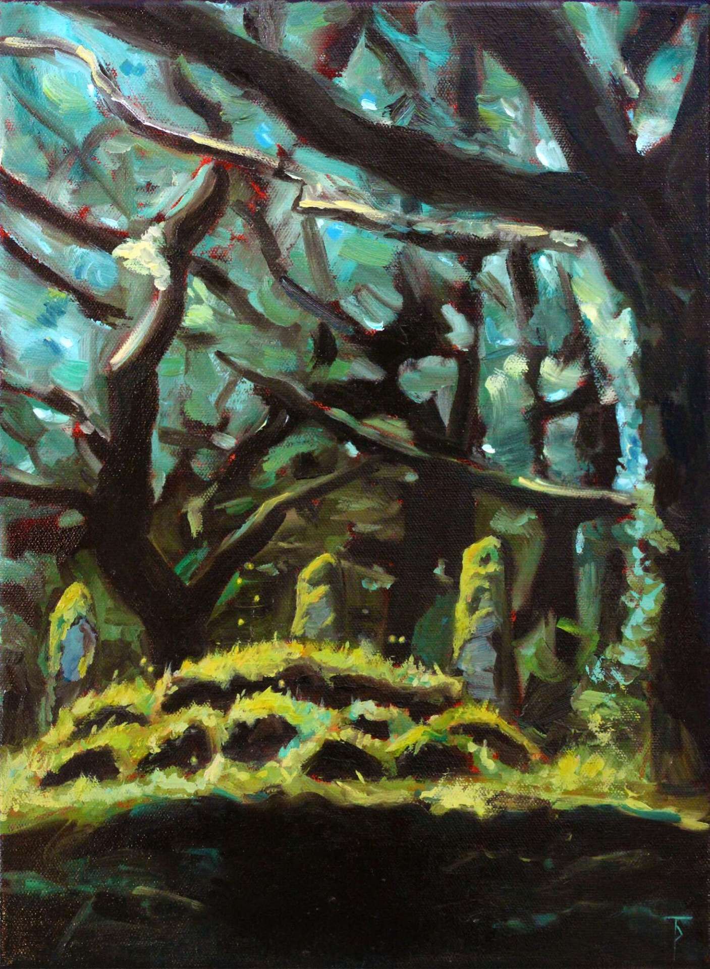 Lichtung - Tom Peter