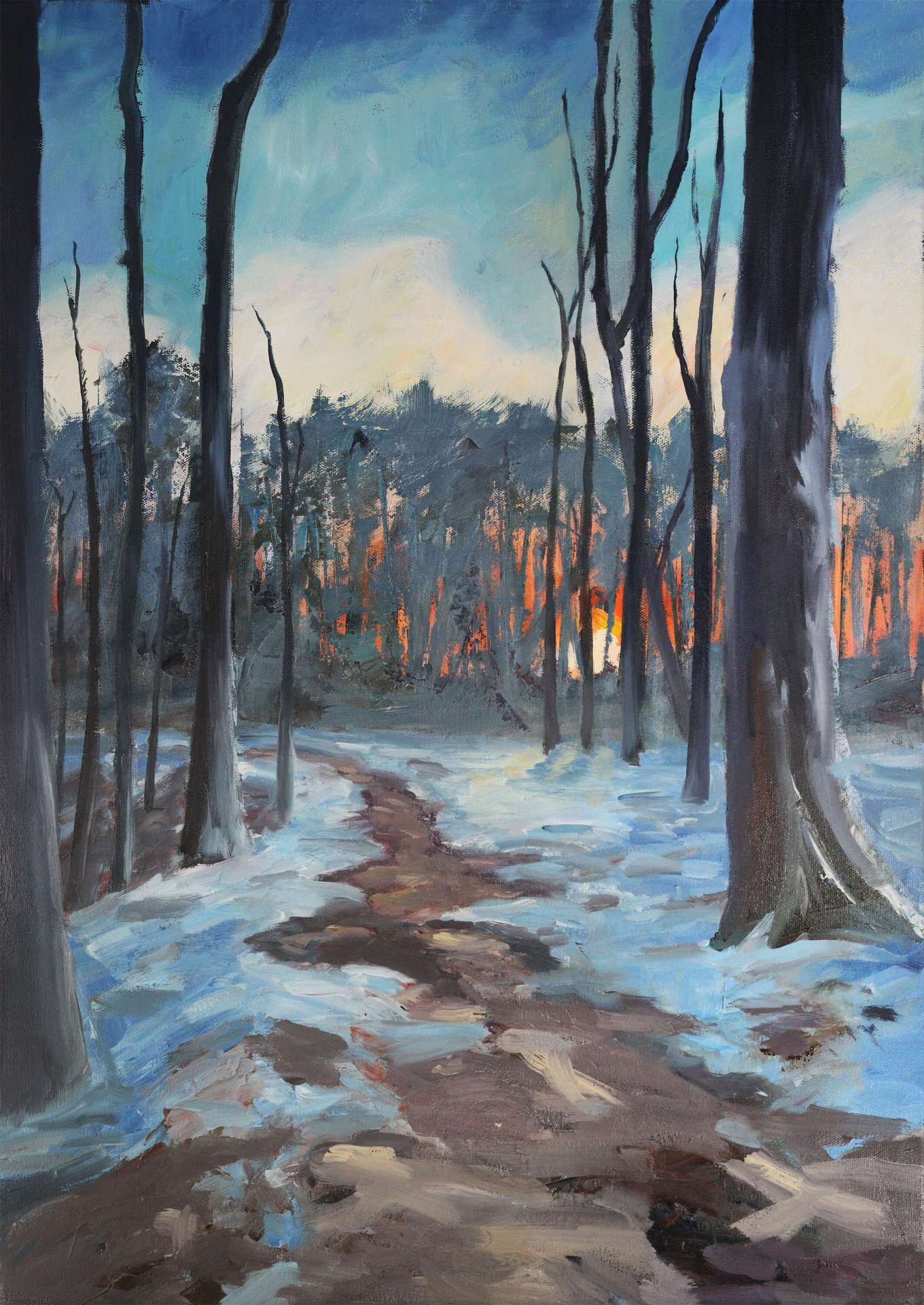 Sonnenuntergang im Winter - Tom Peter